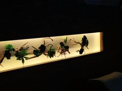 -大桶大足浴(周浦店)