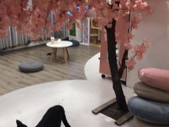 -浣熊柯尔鸭土拨鼠·电玩咖