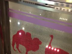 -上海动物园(地铁站)