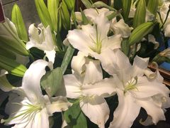 -双合园·海鲜水饺青岛菜(万佳广场店)