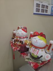 -X Bay-Nail日式美甲美睫