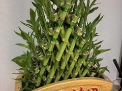 -麦子MaiMassage(打浦桥店)