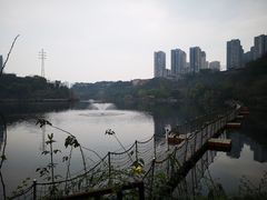 -重庆彩云湖湿地公园