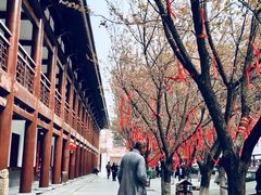 -西安青龙寺遗址景区