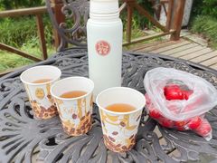 -东平国家森林公园