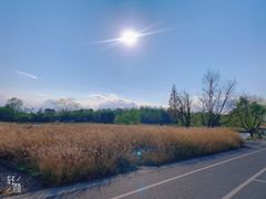-良渚古城遗址公园