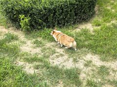 -心仪动物医院·牙专科·肿瘤·心脏科(西客站院)