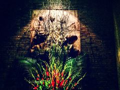 -花马天堂云南餐厅 Lost Heaven(高邮路店)