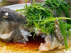 -明本湛江鸡•海鲜小厨(陈家祠店)