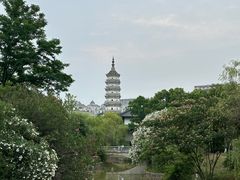 -徽园