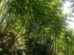 -南山风景名胜区