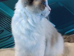 -零纪元VR体验馆·桌游(黄浦店)