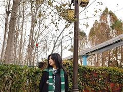 景点-七彩云南欢乐世界