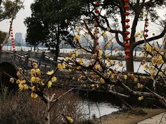 -蠡湖大桥公园