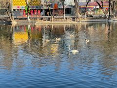 -石家庄市动物园