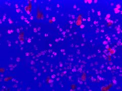 -多彩贵州城极地海洋世界