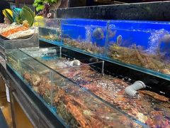 鲜活的海鲜-苏格里岛自助海鲜烤肉火锅(集美万达店)