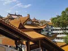 -深圳仙湖植物园