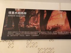 -西域胡氏大盘鸡(新华胡杨风店)
