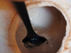 -南国锋味椰子鸡(瀚海店)