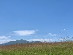 -山丹皇家马场