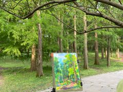 -上海共青森林公园