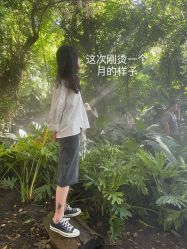 -美森形象
