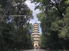 -灵谷景区