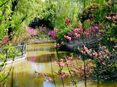 -南汇桃花村