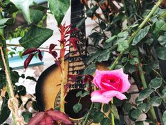 -VOYAGE COFFEE(北锣鼓巷店)