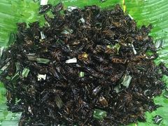 -席娜卡琳火车铁道夜市