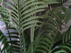 -胡家大厨(西三庄店)