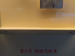 -辽宁古生物博物馆