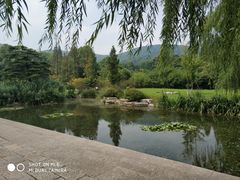-习家池