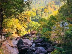 -花岩国家森林公园