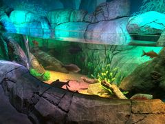 -沈阳海洋探索中心