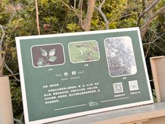 -福道