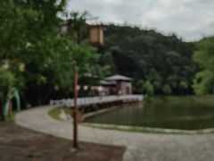-酒仙湖景区
