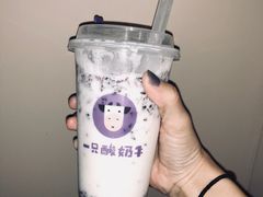 -一只酸奶牛(八一路店)