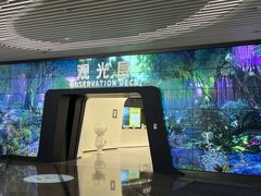 -平安金融中心云际观光层