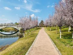 -眉山湿地公园(东坡区)