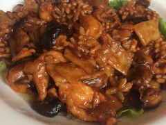 八珍豆腐-普天和酒楼·新津菜·烤鸭(天津之眼店)