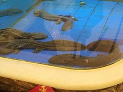 -友鹏海鲜(新宜白大道店)