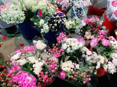 -循礼门鲜花花市(武汉循礼门店)