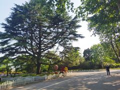 -青岛德国总督楼旧址博物馆