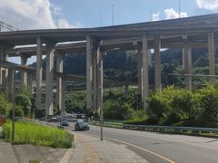 -黔灵山公园