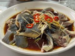-煲来饱去冷水鱼