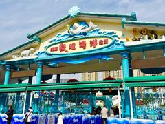 -海合安成都极地海洋公园