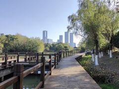 -艾溪湖湿地公园