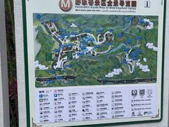 -野象谷景区